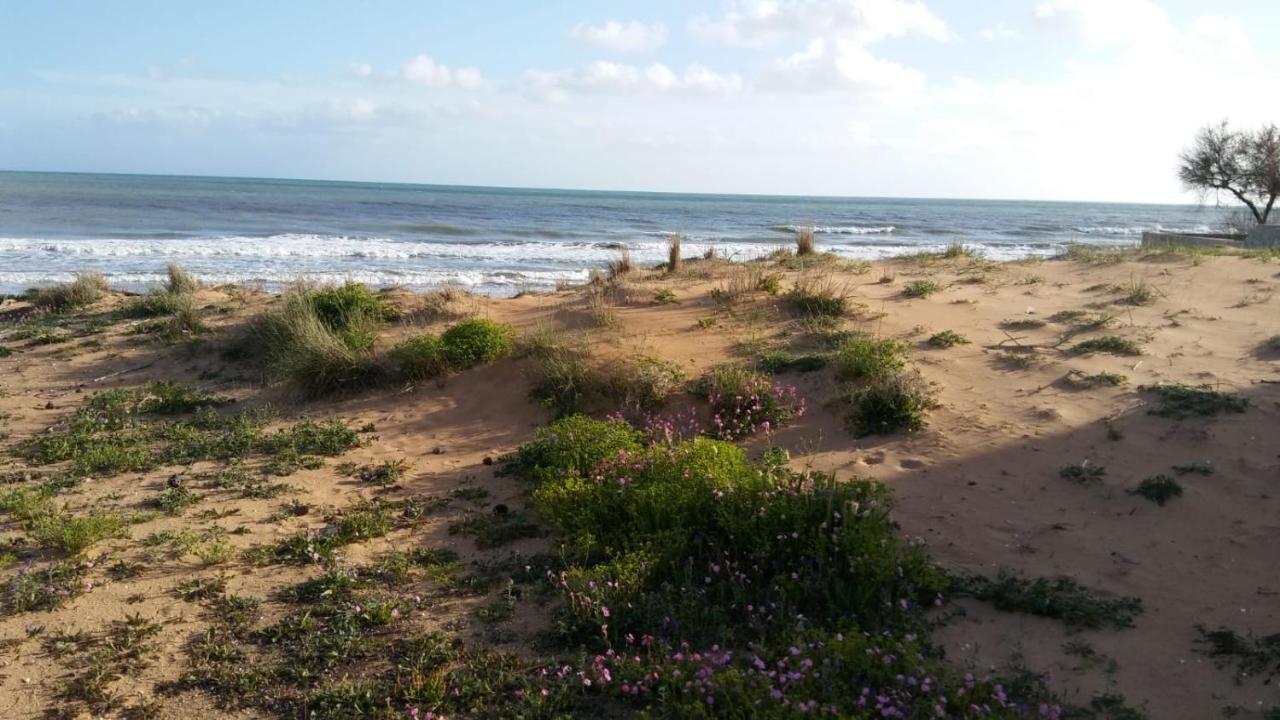 Mediterraneo Triscina Kültér fotó